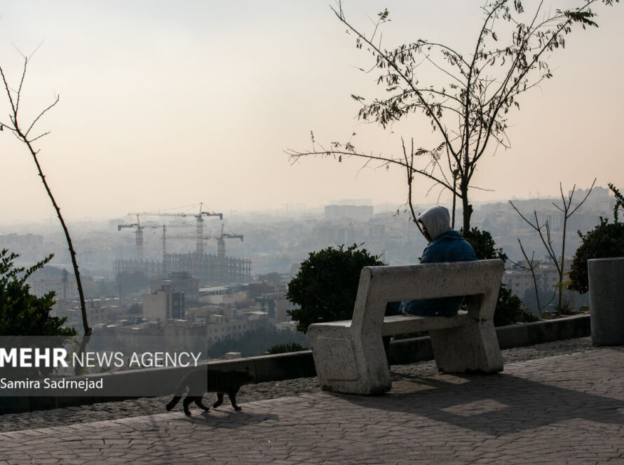 تهران در چنگال آلودگی؛چرا برخی ادارات مصوبات اضطرار را نادیده می‌گیرند