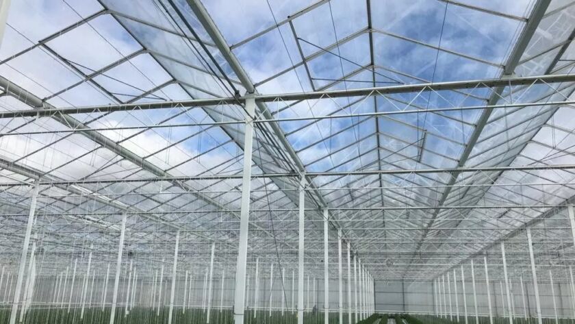 لوله گالوانیزه برای آبیاری در زمستان